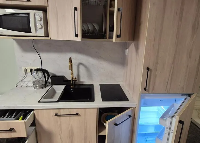 Apartamentai Gintaras דירה